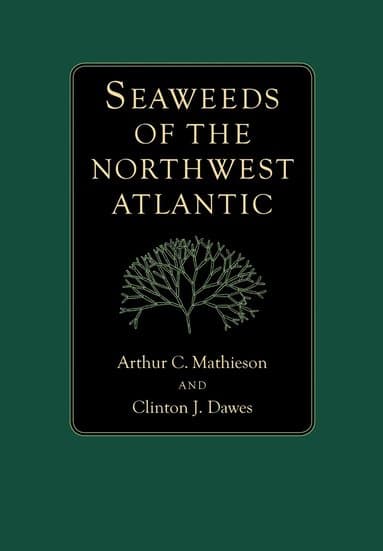 Seaweeds of the Northwest Atlantic