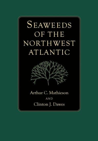 Seaweeds of the Northwest Atlantic