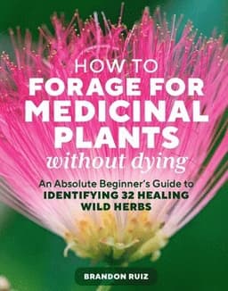 How to Forage for Medicinal Plants without Dying