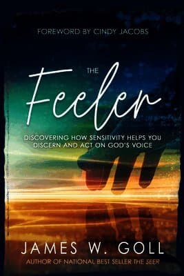 The Feeler: Discovering How Sensitivity Helps You Discern and Act on God's Voice