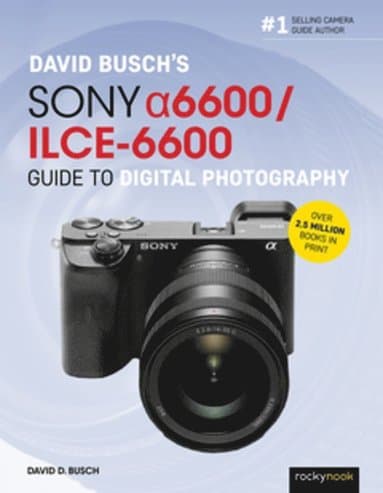 David Busch's Sony Alpha a6600/ILCE-6600 Guide to Digital Photography