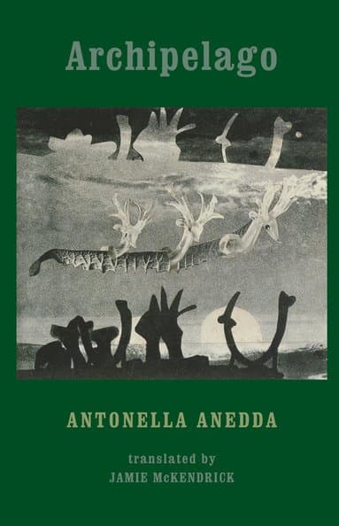 Antonella Anedda best book