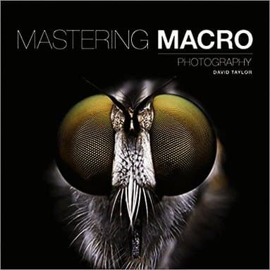 Mastering Macro Photography