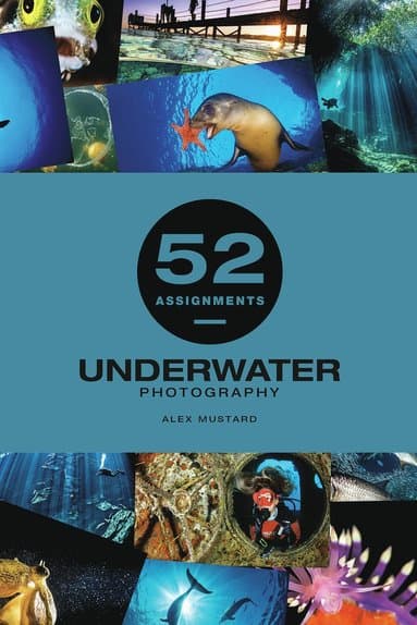 52 Assignments: Underwater Photography
