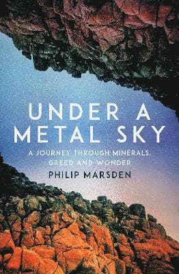 Under a Metal Sky