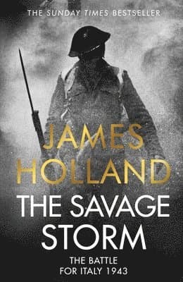 Omslag till boken Savage Storm av James Holland