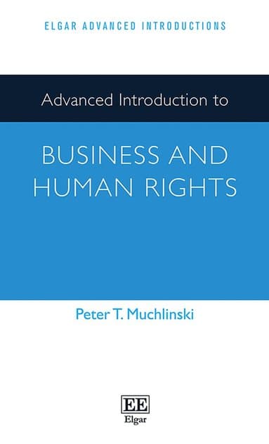Advanced Introduction to Business and Human Rights