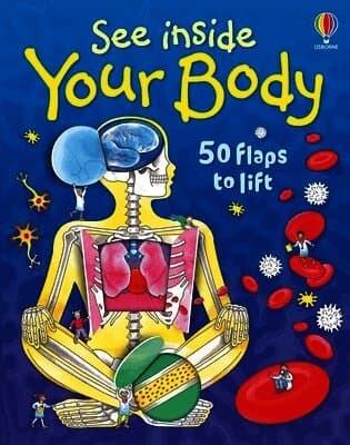 Omslag till boken See Inside Your Body av Katie Daynes