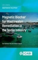 Magnetic Biochar for Wastewater Remediation in the Textile Industry