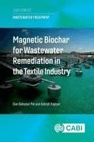 Magnetic Biochar for Wastewater Remediation in the Textile Industry