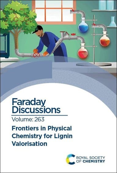 Frontiers in Physical Chemistry for Lignin Valorisation