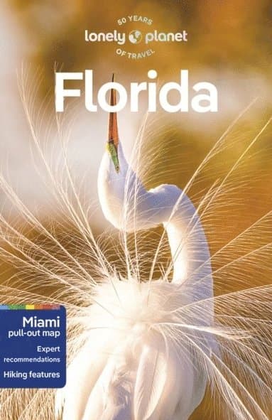 Lonely Planet Florida
