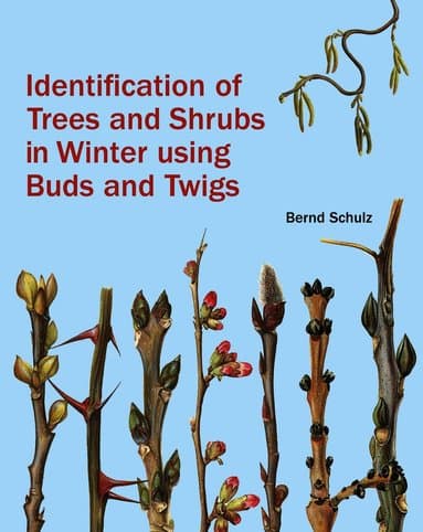 Identification of Trees and Shrubs in Winter Using Buds and Twigs