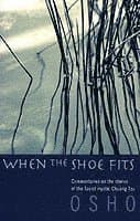 When the Shoe Fits