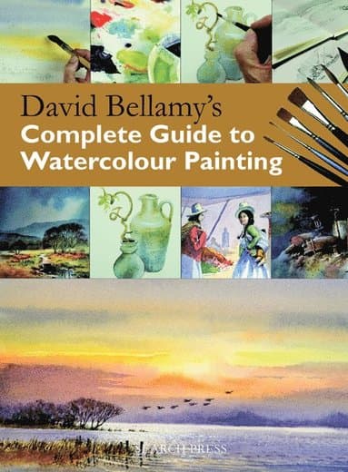 David Bellamy's Complete Guide to Watercolour Painting