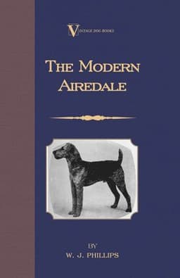 Modern Airedale Terrier