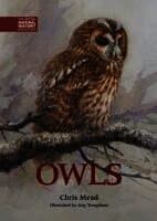 Owls