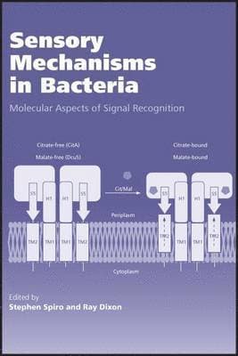 Sensory Mechanisms in Bacteria
