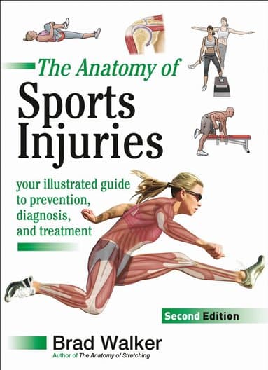 Anatomy of Sports Injuries