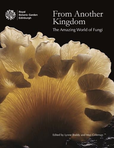 From Another Kingdom