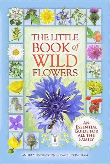 Little Book of Wild Flowers