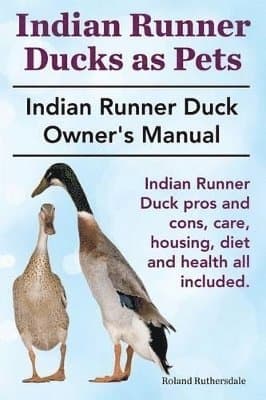 Indian Runner Ducks as Pets. Indian Runner Duck pros and cons, care, housing, diet and health all included.