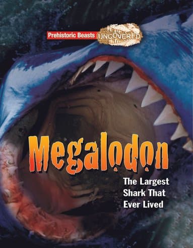 Megalodon