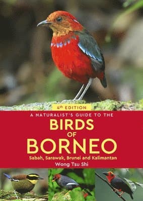 Naturalist's Guide to the Birds of Borneo