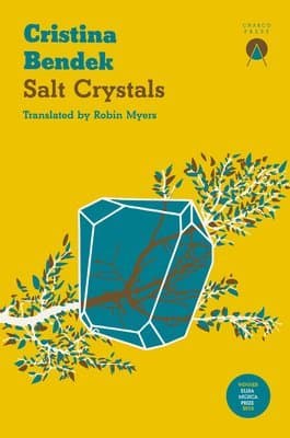 Omslag till boken Salt Crystals av Cristina Bendek