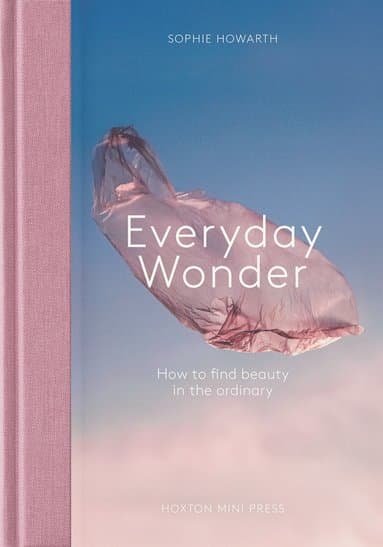 Everyday Wonder