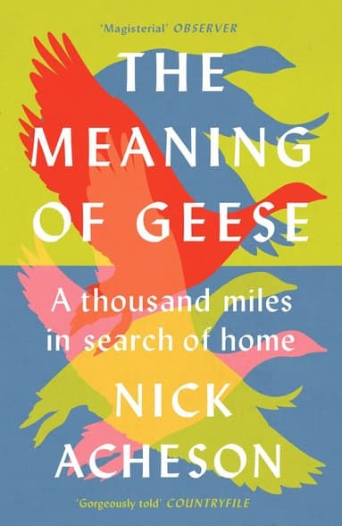Omslag till boken Meaning of Geese av Nick Acheson