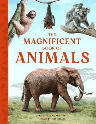 Omslag till boken Magnificent Book of Animals av Tom Jackson