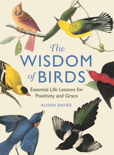 Wisdom of Birds