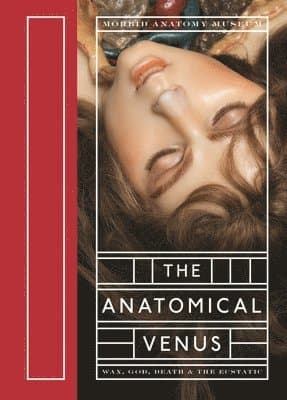 The Anatomical Venus: Wax, God, Death & the Ecstatic