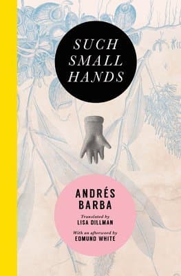 Omslag till boken Such Small Hands av Andrés Barba