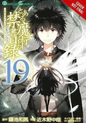 Certain Magical Index, Vol. 19 (manga)