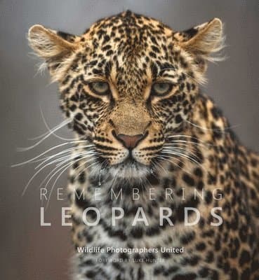 Remembering Leopards