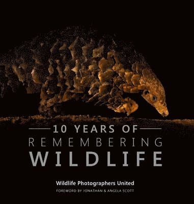 Ten Years of Remembering Wildlife