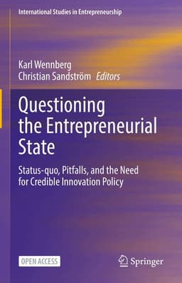 Questioning the Entrepreneurial State