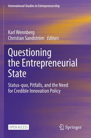 Questioning the Entrepreneurial State