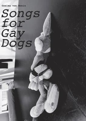 Cosima von Bonin: Songs for Gay Dogs