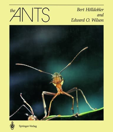 Ants