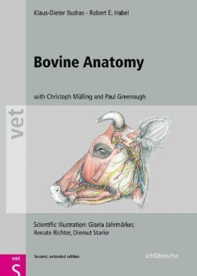 Omslag till boken Bovine Anatomy av Klaus-Dieter Budras