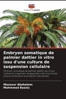 Embryon somatique de palmier dattier in vitro issu d'une culture de suspension cellulaire
