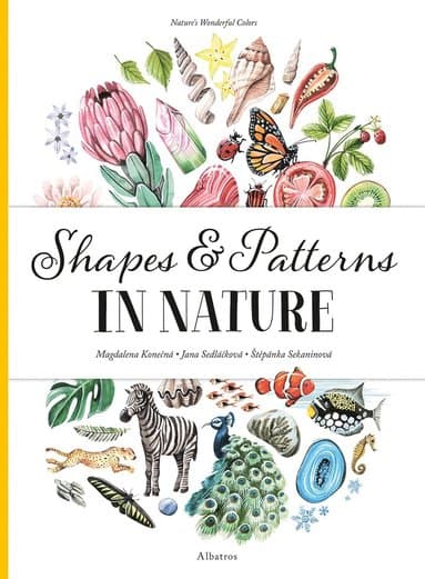 Shapes and Patterns in Nature
