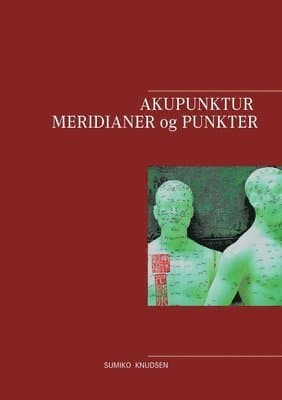 Akupunktur Meridianer og Punkter