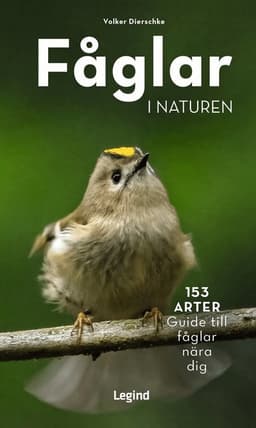 Fåglar i naturen : 153 arter, guide till fåglar nära dig