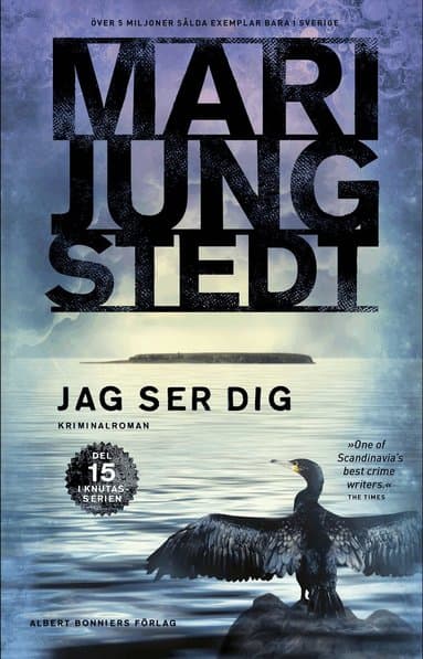 Omslag till boken Jag ser dig av Mari Jungstedt