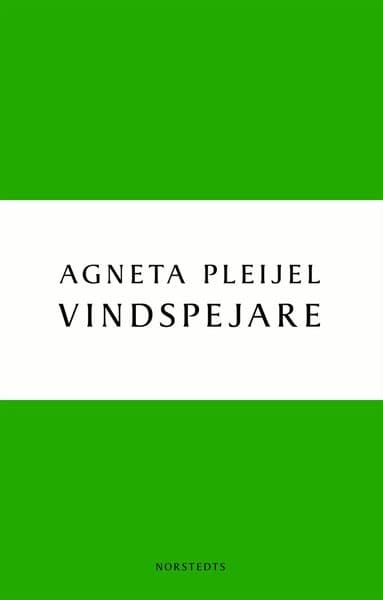 Vindspejare : boken om Abel målaren