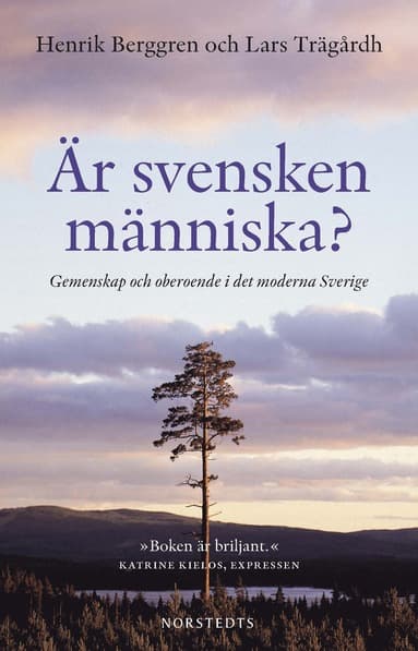 Är svensken människa? : gemenskap och oberoende i det moderna